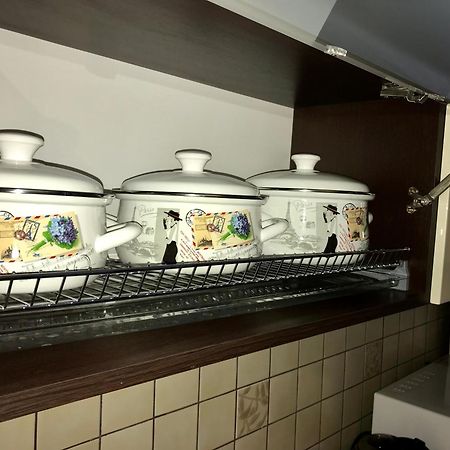 Large Apartment In The City Center Mukacheve Luaran gambar